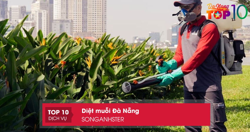 songanhster-dich-vu-diet-muoi-da-nang-chuyen-nghiep-top10danang
