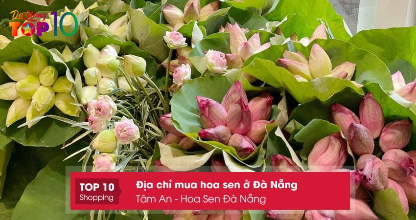 tam-an-hoa-sen-da-nang-top10danang
