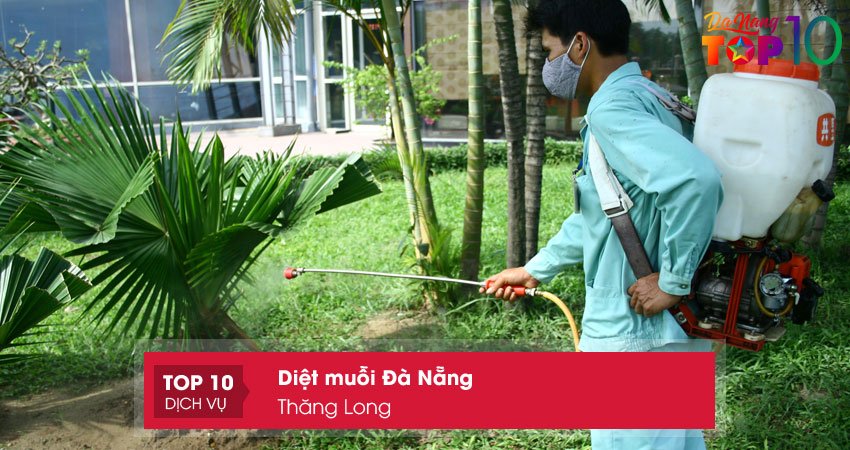 thang-long-dich-vu-diet-muoi-da-nang-top10danang