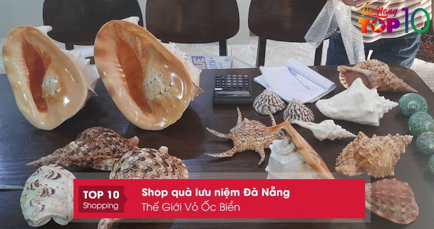 the-gioi-vo-oc-bien-top10danang