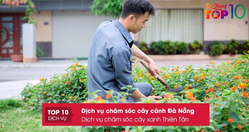 thien-tan-dich-vu-cay-xanh-da-nang-chat-luong-top10danang