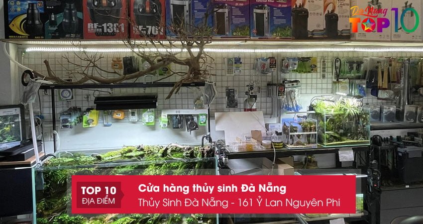 thuy-sinh-da-nang-161-y-lan-nguyen-phi-top10danang