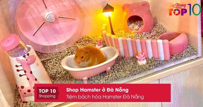 tiem-bach-hoa-hamster-da-nang-top10danang