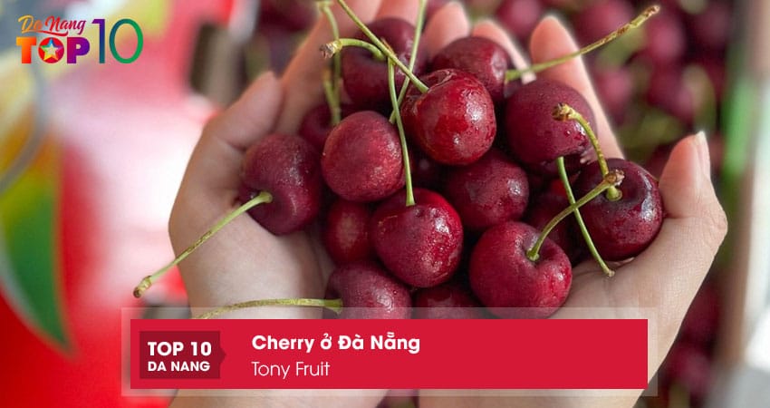 Tony-fruit-top10danang