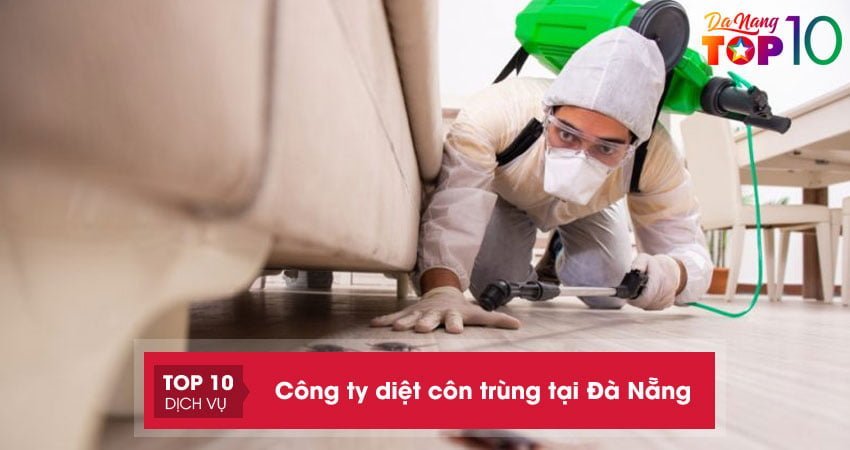 Top 10+ công ty diệt côn trùng tại Đà Nẵng UY TÍN giá rẻ tại nhà
