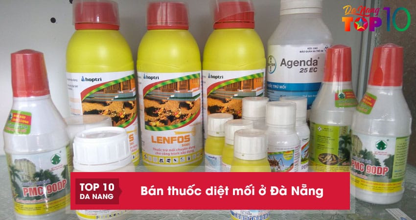 Top 10 địa chỉ bán thuốc diệt mối ở Đà Nẵng an toàn, tiện lợi