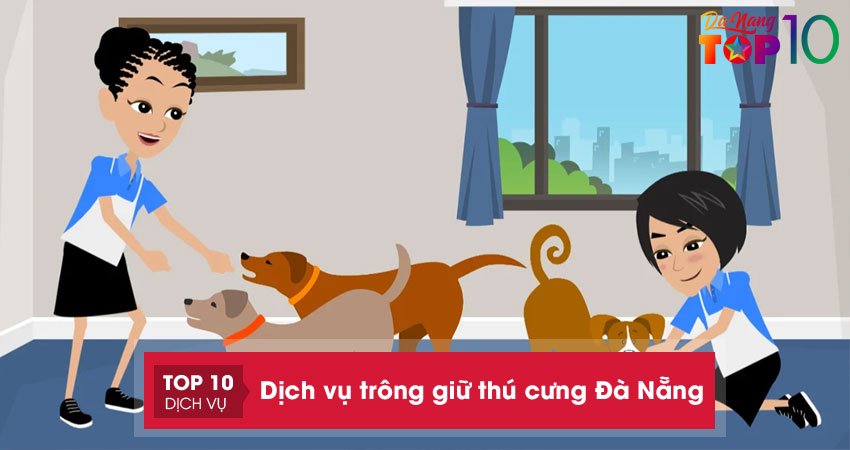 Top 11 địa chỉ cung cấp dịch vụ trông giữ thú cưng Đà Nẵng uy tín nhất