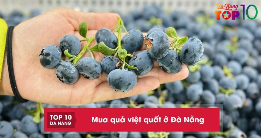 Top 10 địa chỉ mua quả việt quất ở Đà Nẵng tươi ngon – giá tốt