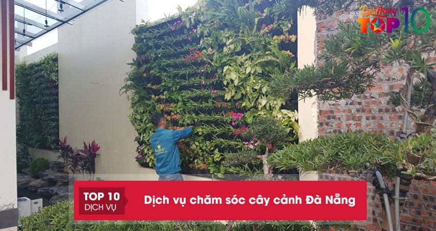 10 đơn vị chuyên dịch vụ chăm sóc cây cảnh ở Đà Nẵng uy tín nhất