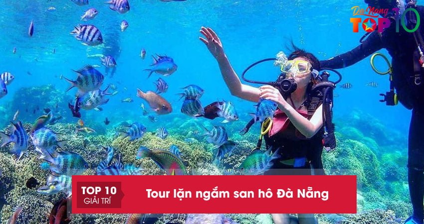 Top 10+ tour lặn ngắm san hô Đà Nẵng AN TOÀN giá siêu RẺ