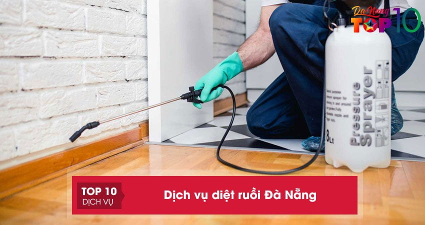 Top 20+ dịch vụ diệt ruồi Đà Nẵng tận gốc uy tín nhất