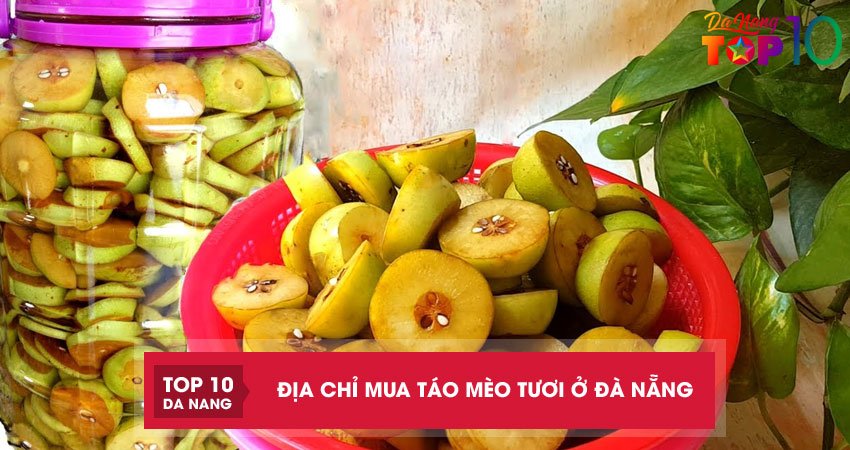 Top 2 địa chỉ mua táo mèo tươi ở Đà Nẵng đúng chuẩn loại 1