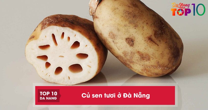 Top 5 địa chỉ bán củ sen tươi ở Đà Nẵng cho bạn tham khảo
