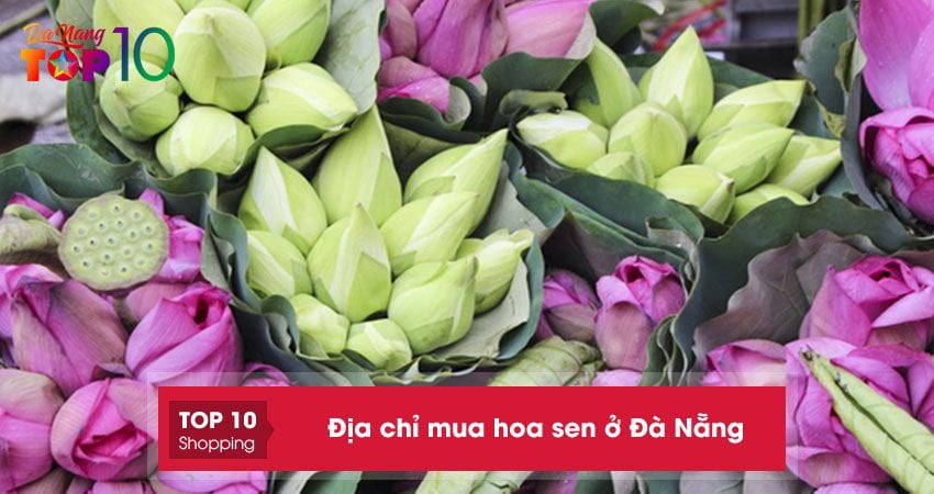 Top 5+ địa chỉ mua hoa sen ở Đà Nẵng tươi ĐẸP giá rẻ