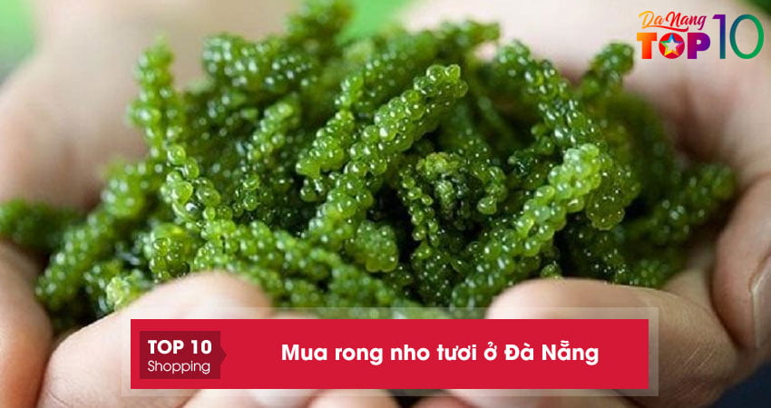 Top 5+ nơi mua rong nho tươi ở Đà Nẵng đạt tiêu chuẩn
