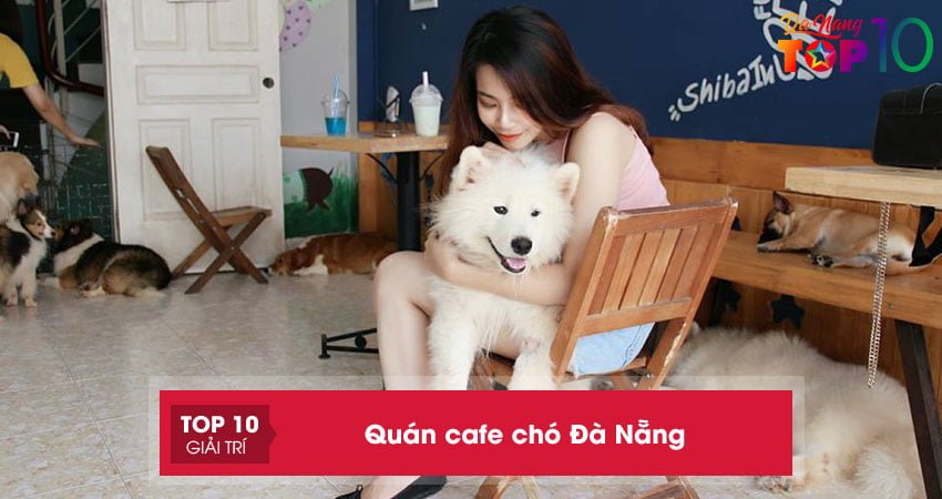 Top 5+ quán cafe chó Đà Nẵng dễ thương đáng yêu