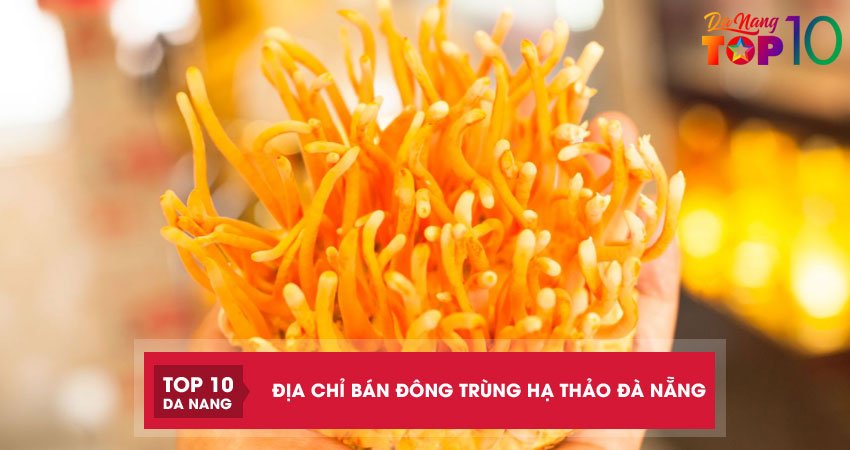 Top 7 địa chỉ bán đông trùng hạ thảo Đà Nẵng nguyên chất 100%