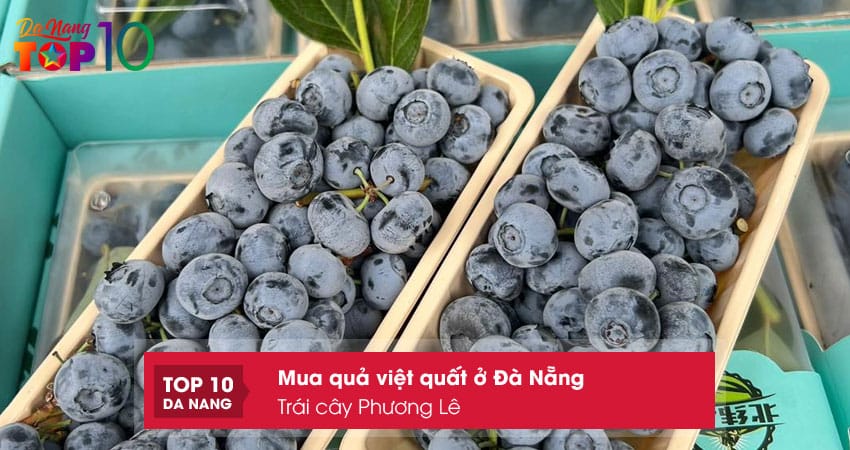 Trai-cay-phuong-le-top10danang