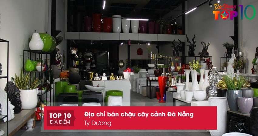 ty-duong-chau-cay-canh-tai-da-nang-top10danang