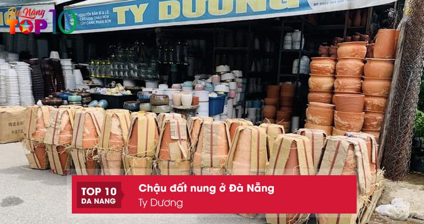 Ty-duong-top10danang