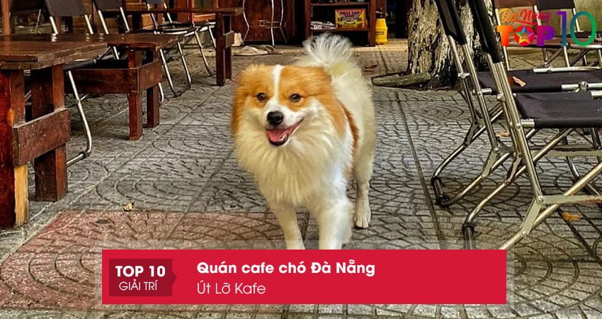 ut-lo-kafe-top10danang