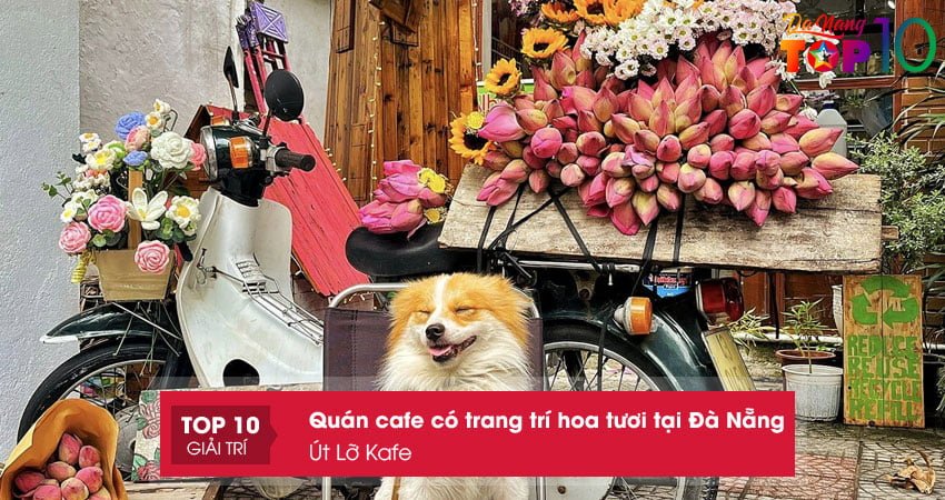 ut-lo-kafe-top10danang