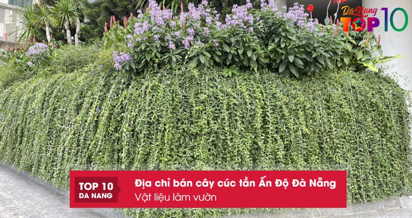 Vat-lieu-lam-vuon-top10danang