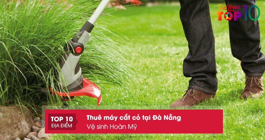ve-sinh-hoan-my-don-vi-cho-thue-may-cat-co-tai-da-nang-top10danang