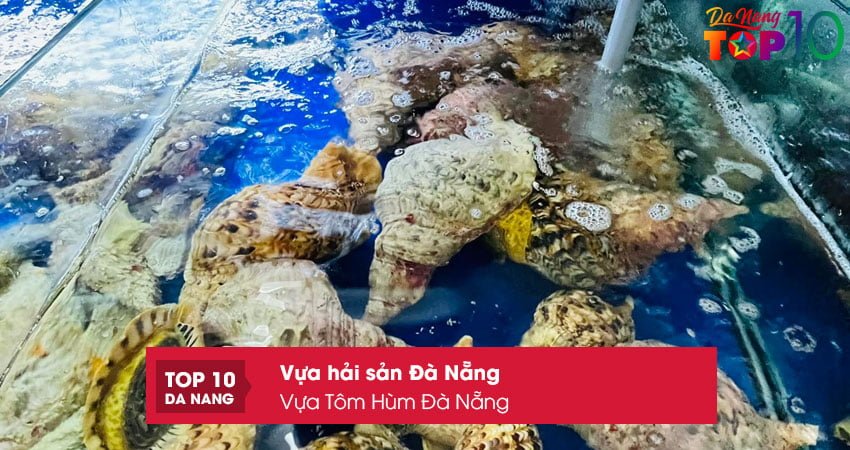 vua-tom-hum-da-nang1-top10danang
