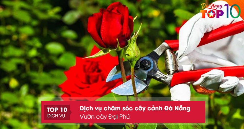 vuon-cay-dai-phu-top10danang