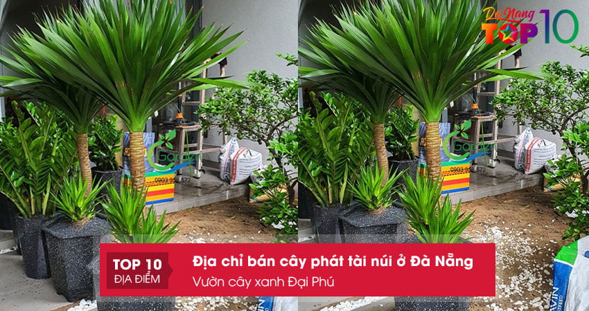 vuon-cay-xanh-dai-phu-top10danang