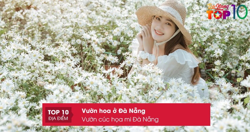 vuon-cuc-hoa-mi-da-nang-top10danang