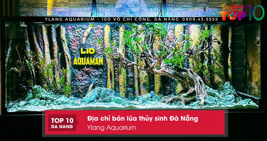 Ylang-aquarium-top10danang
